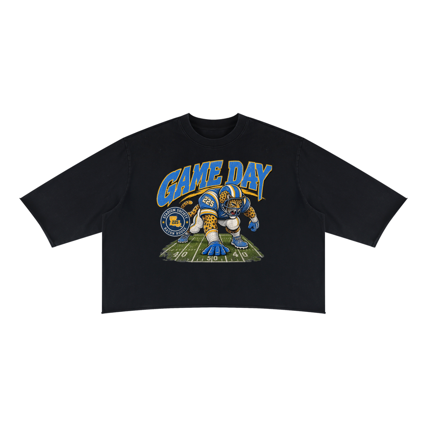 Stadium,Game,Day,Society,HBCU,Southern,Grambling,Bayou,Classic