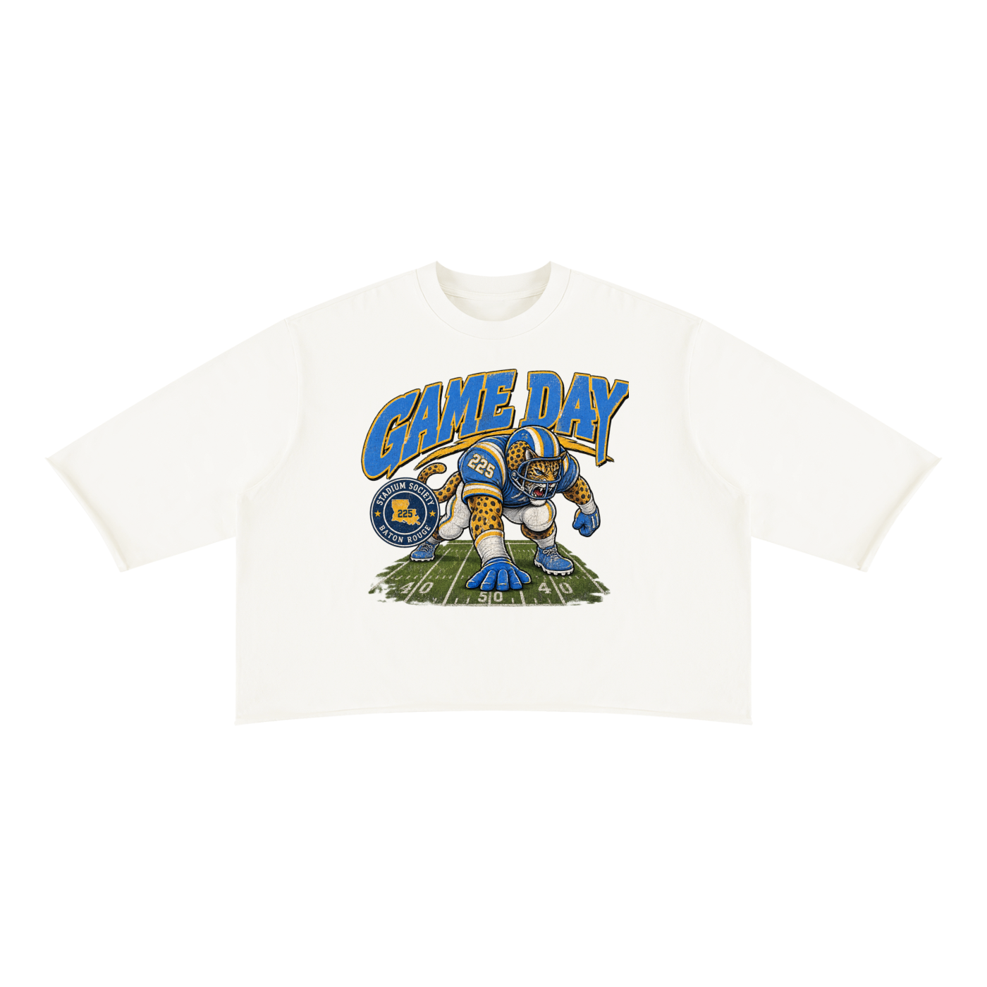 Stadium,Game,Day,Society,HBCU,Southern,Grambling,Bayou,Classic