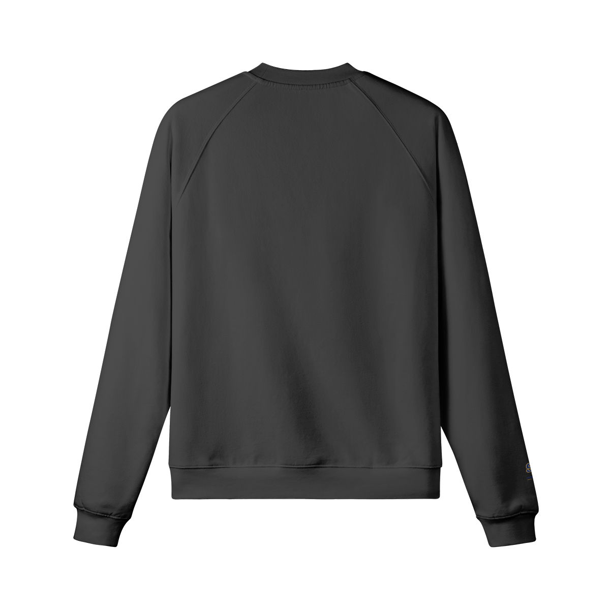 0-Y5F-Back Side
