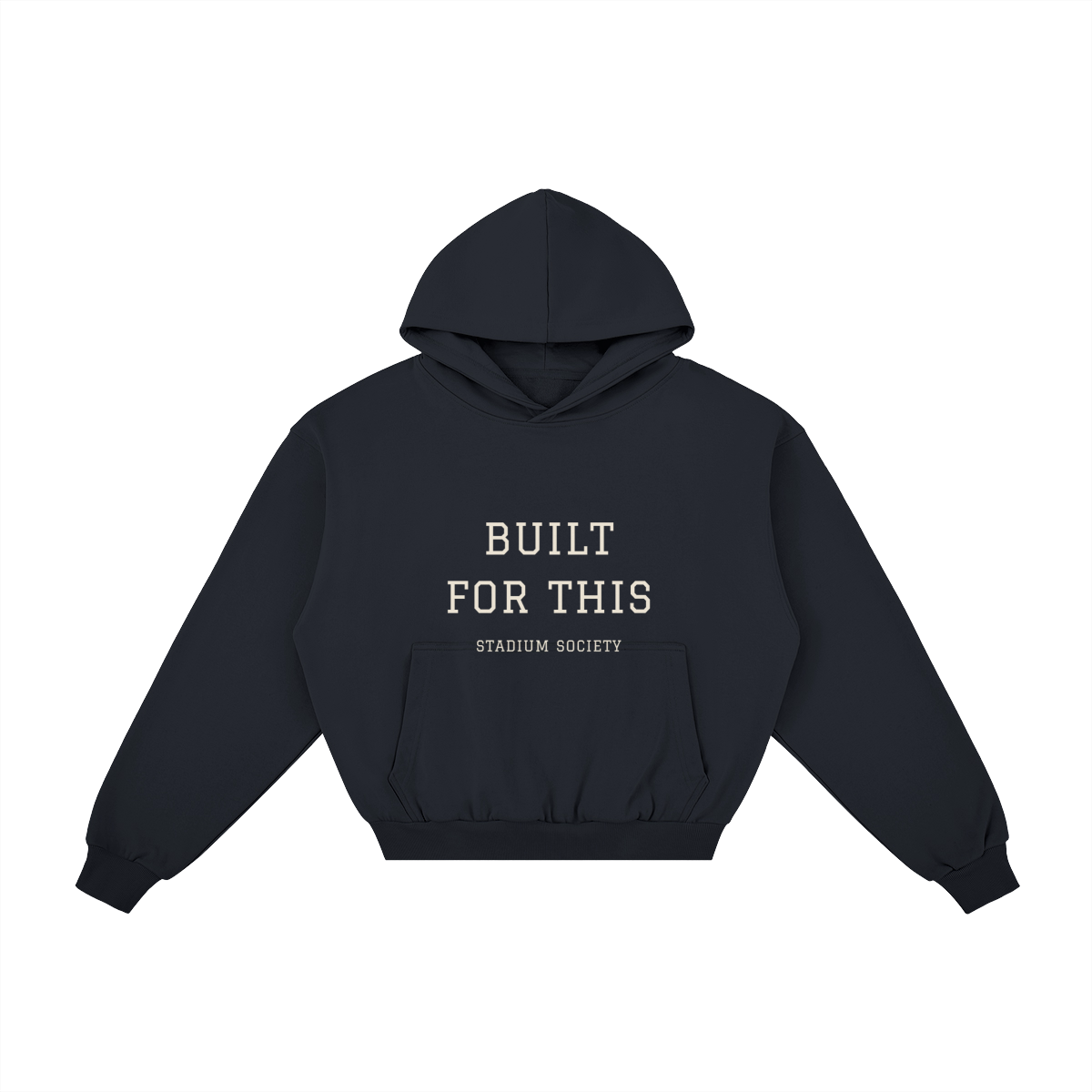 Built for This Heavyweight Pullover Hoodie — Black — back